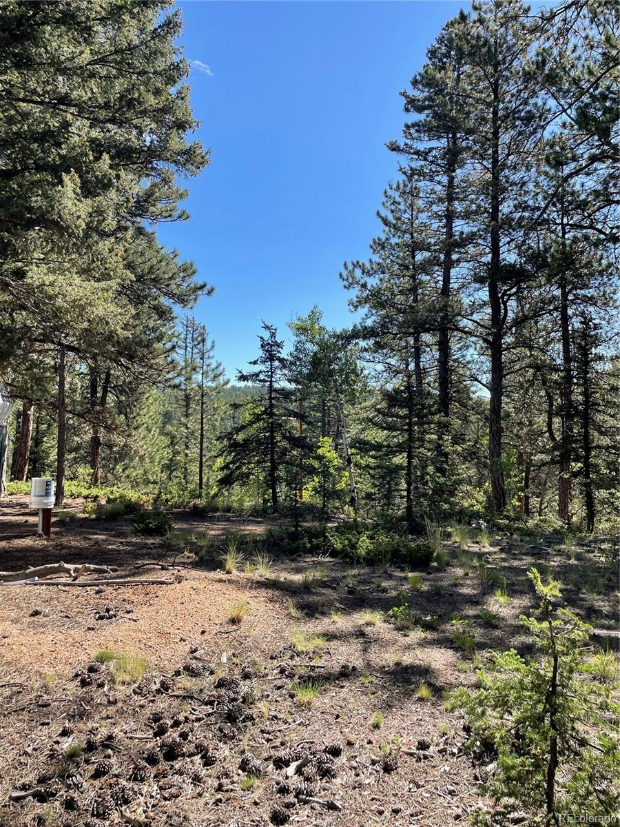 464 Saddleback Creek Drive