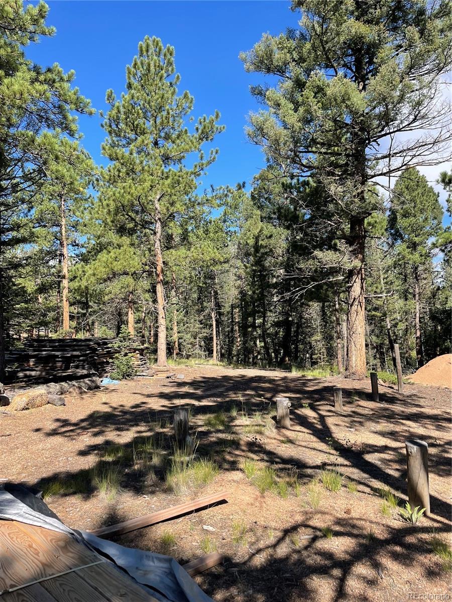 464 Saddleback Creek Drive