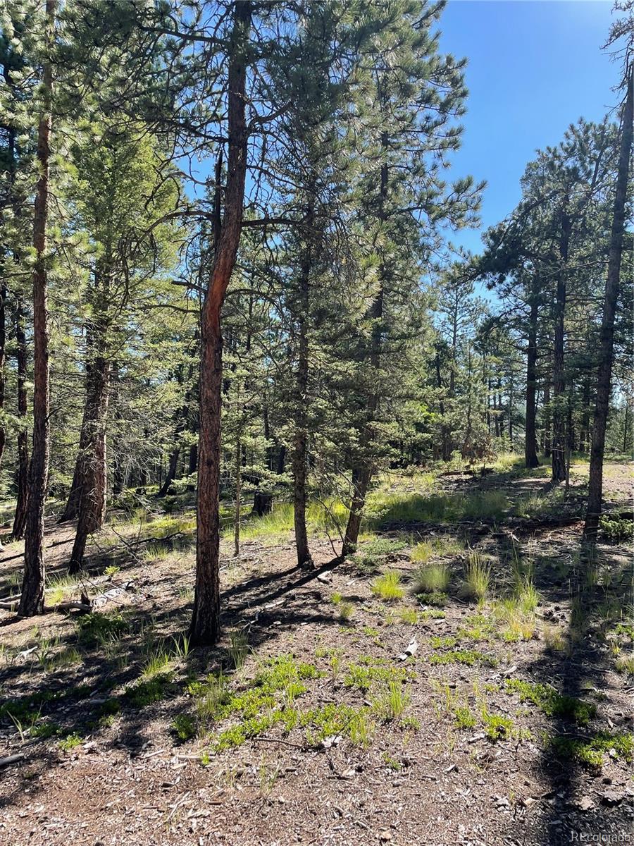 464 Saddleback Creek Drive