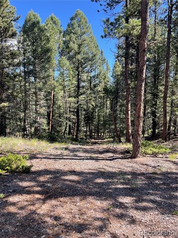 464 Saddleback Creek Drive