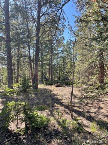 464 Saddleback Creek Drive