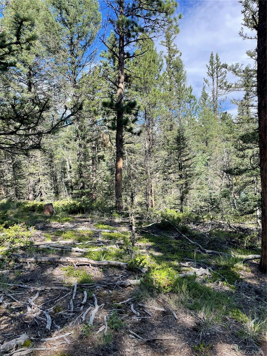 464 Saddleback Creek Drive