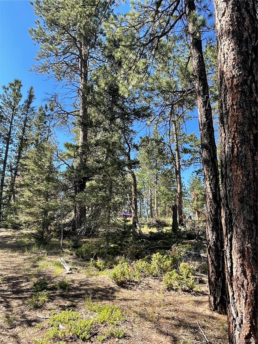 464 Saddleback Creek Drive