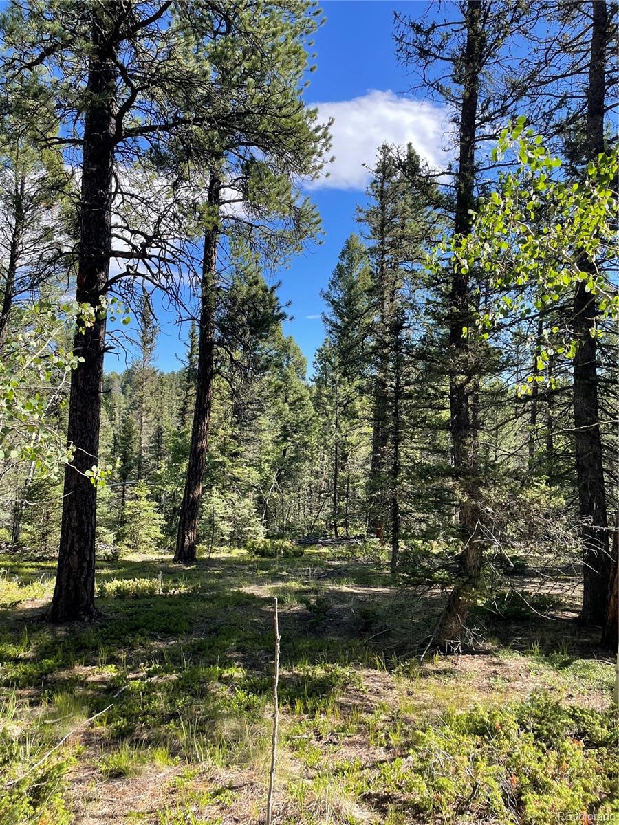 464 Saddleback Creek Drive