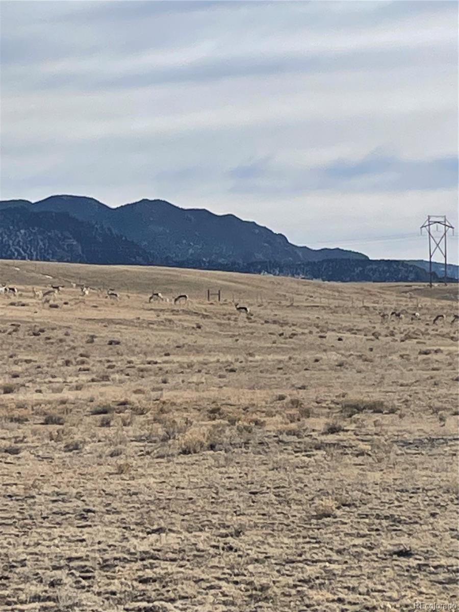 7620 Clear Creek Road