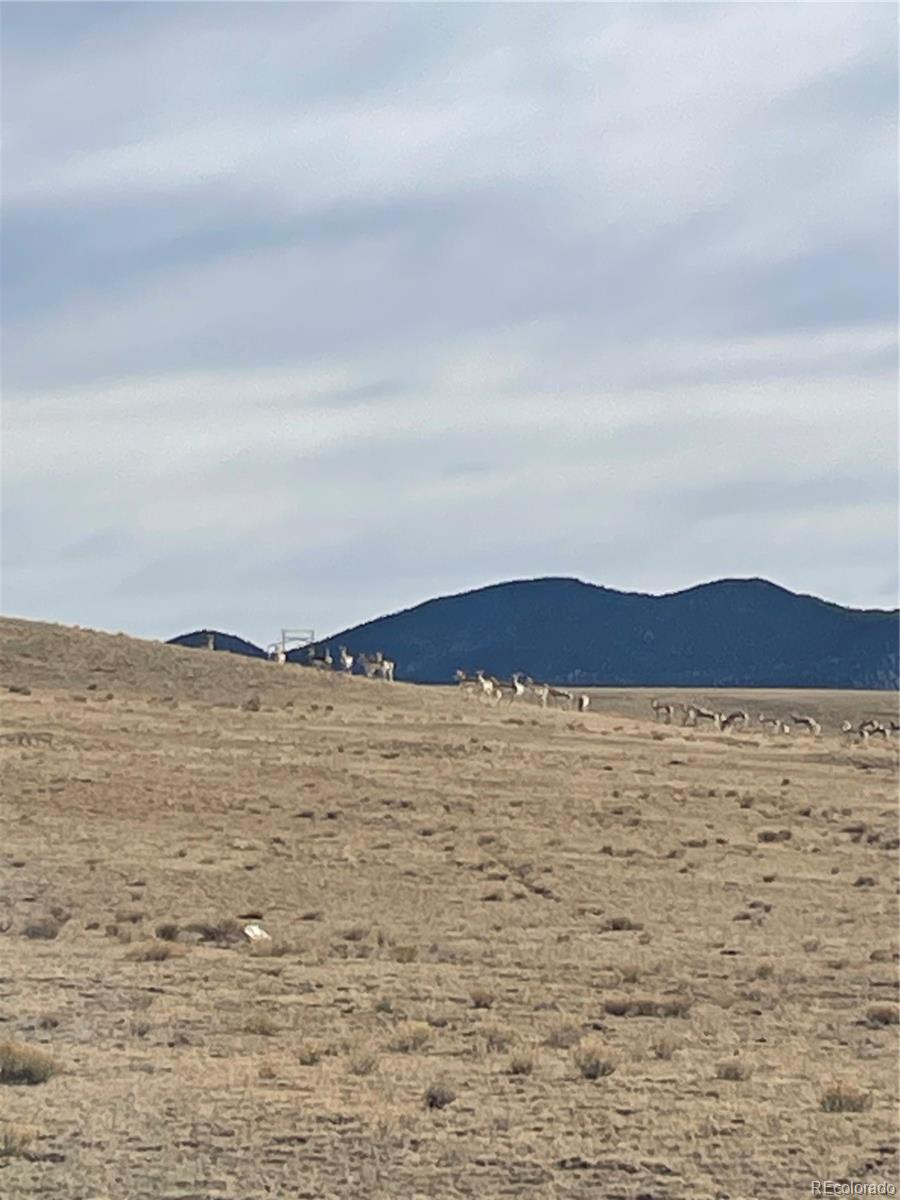 7620 Clear Creek Road