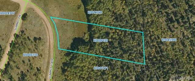 266 Summit Loop Florissant Co Us 80816 Rec4059179