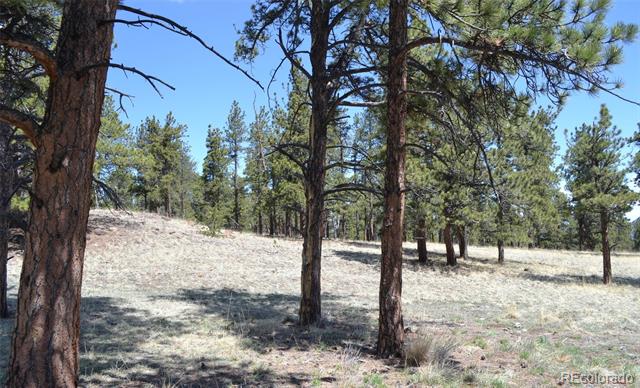 5000 County Rd 59