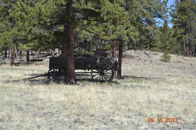 Grassy rural property with a wooden wagon beneath pine trees.