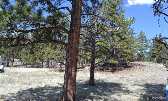 5000 County Rd 59