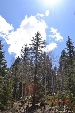 5000 County Rd 59