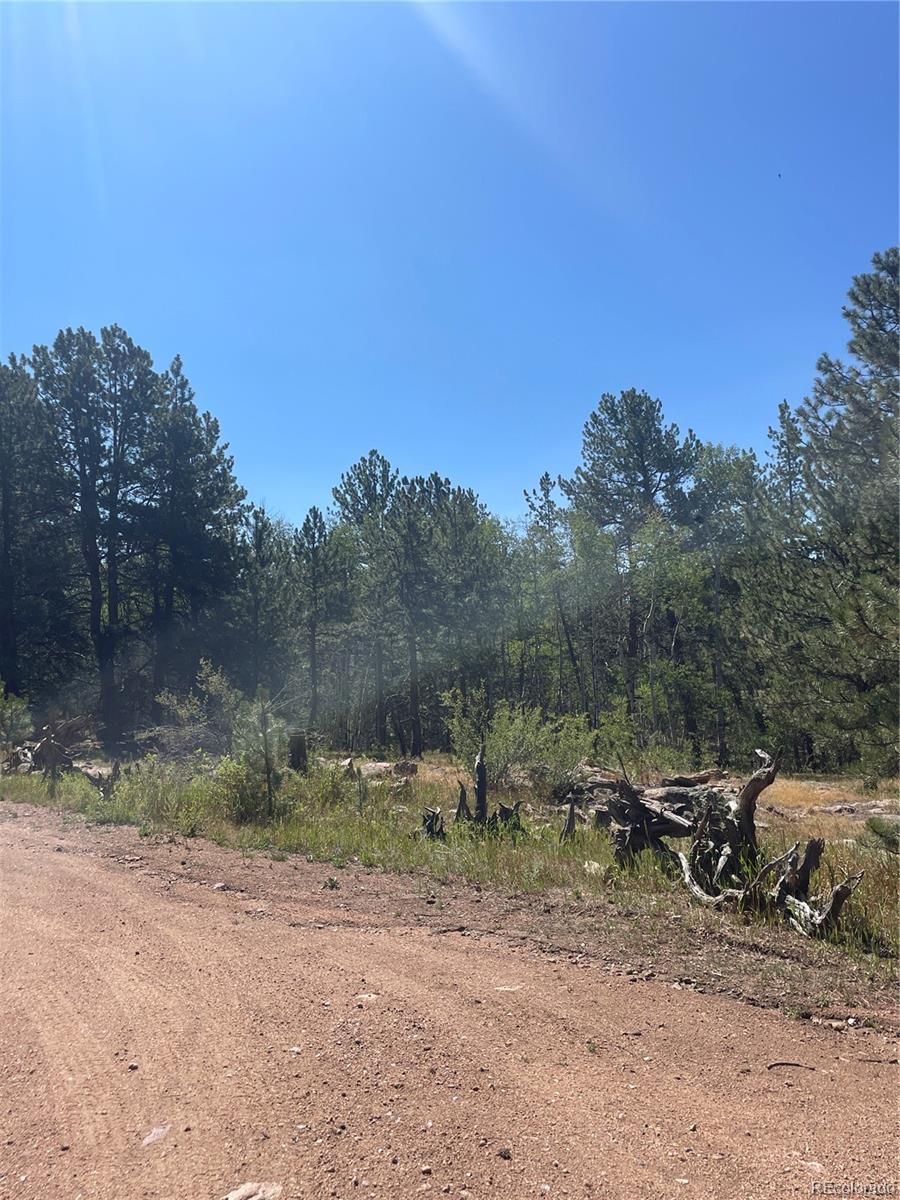 3943 CO Rd 403