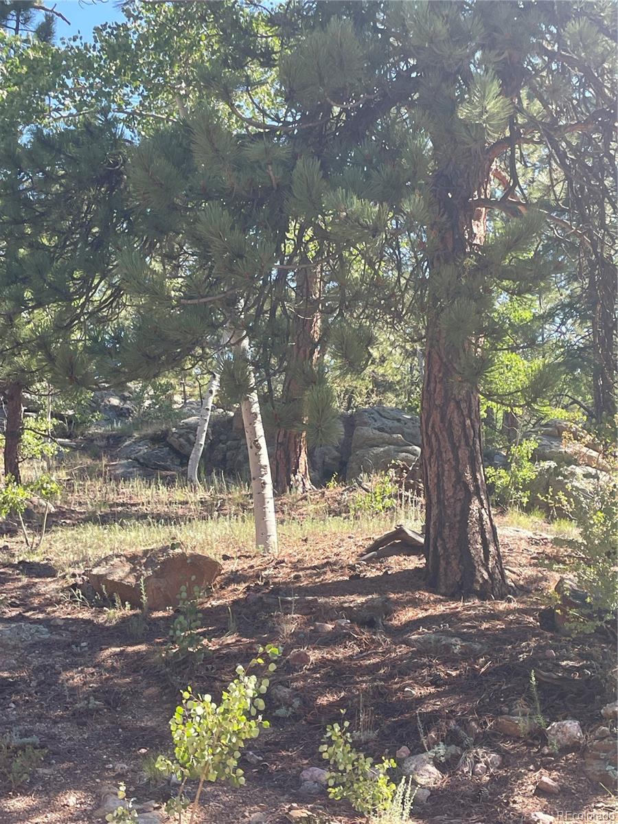 3943 CO Rd 403