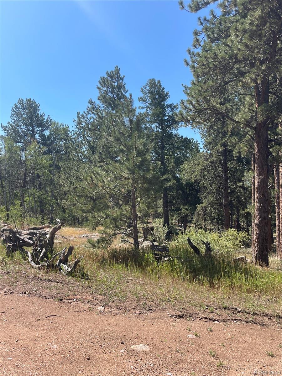 3943 CO Rd 403