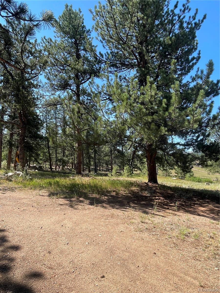 3943 CO Rd 403