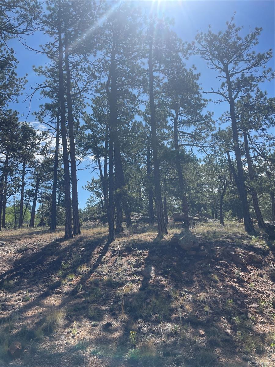 3943 CO Rd 403