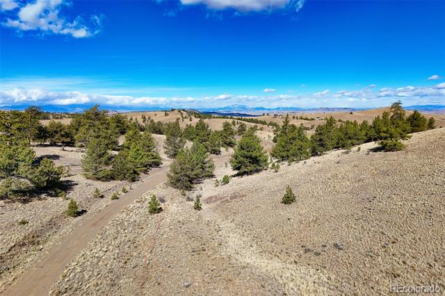 Aerial view of dry rolling acreage with scattered pine trees, a dirt road, and distant mountains.