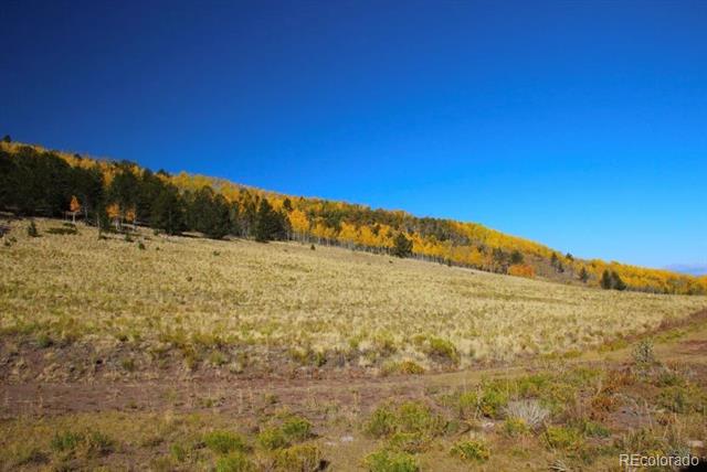Open grassy land with a dirt track and a distant line of golden autumn trees.
