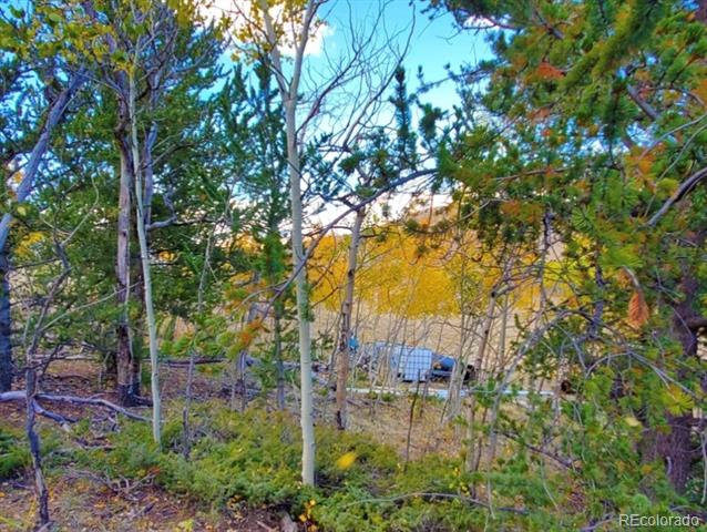 Wooded property with autumn foliage and a partly obscured blue-gray structure