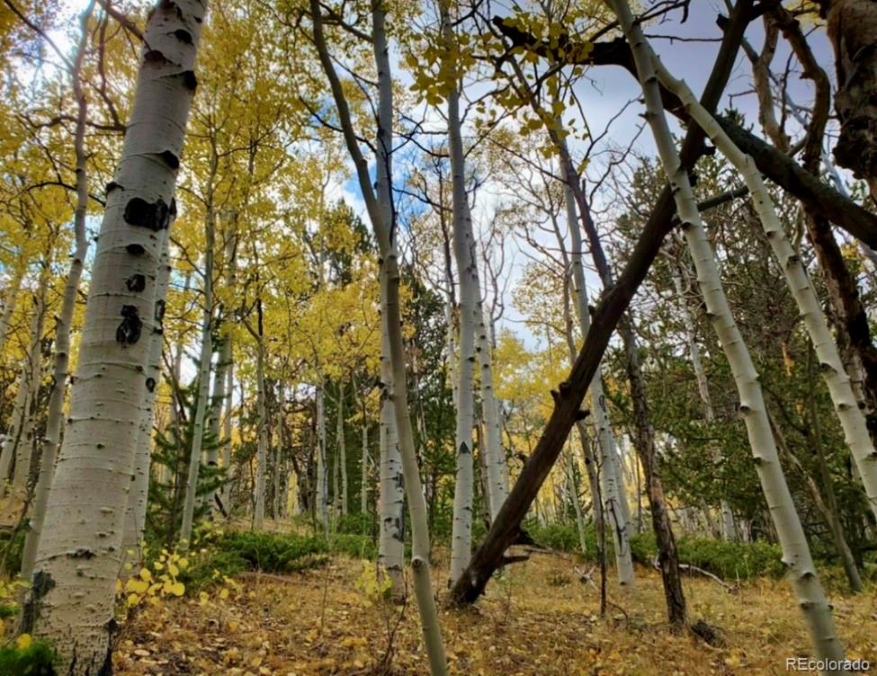 2000 Hard Hickory Trail