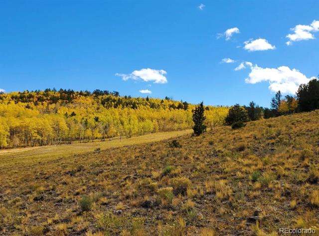 Rolling grassy land with golden autumn trees and a blue sky.