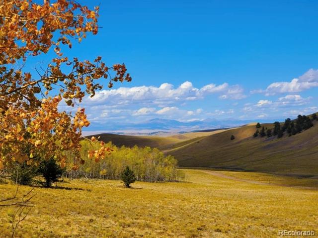 Golden rural hills with an orange-leaved tree in the foreground and distant hills beneath a blue sky.
