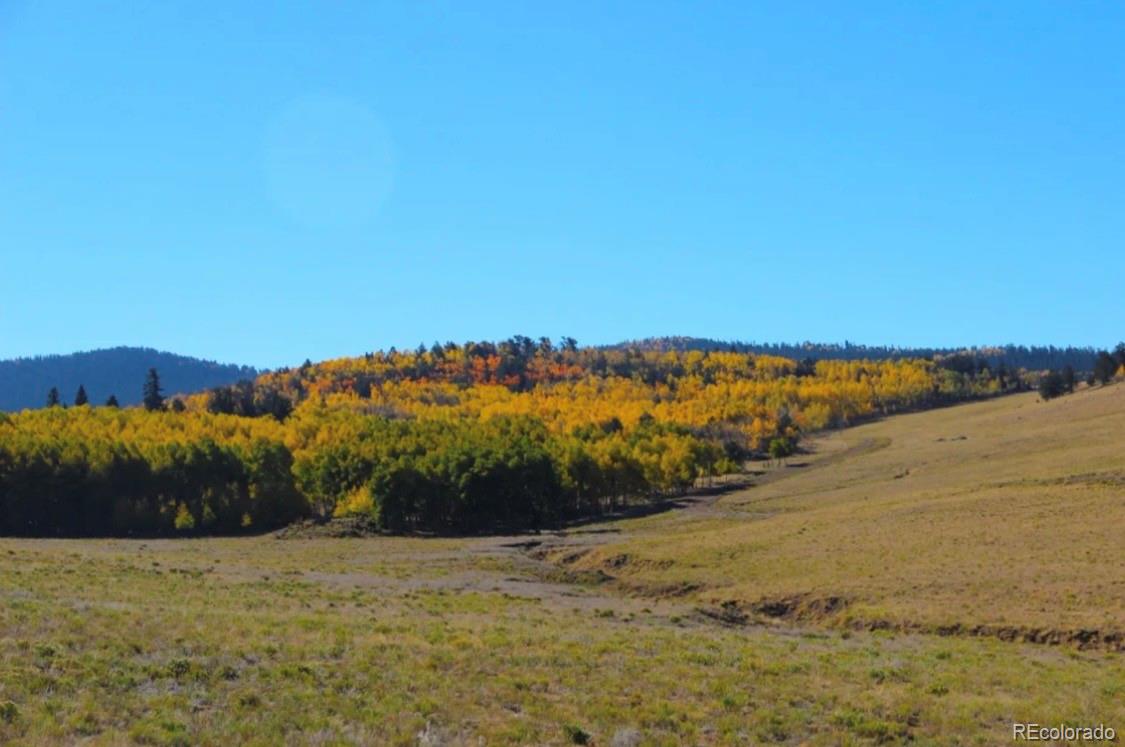 2000 Hard Hickory Trail