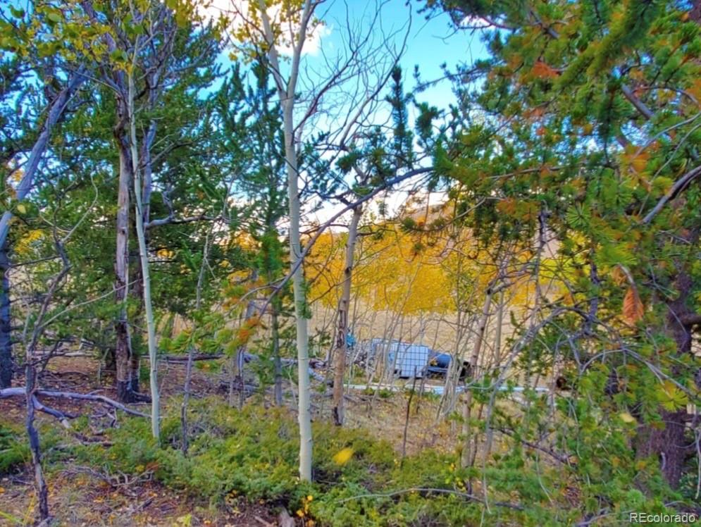 2000 Hard Hickory Trail