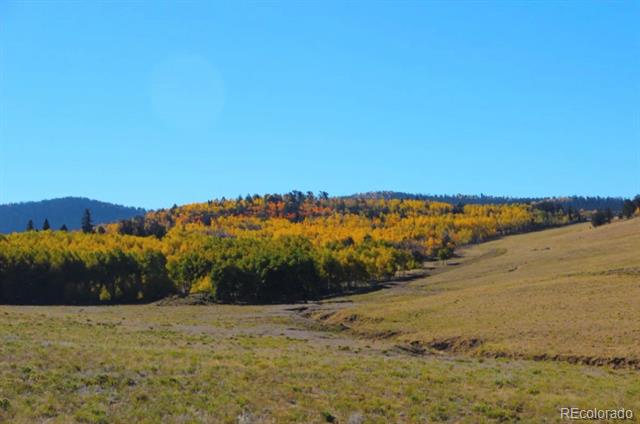 Open acreage with a sloping meadow, autumn-colored trees, and distant wooded hills.