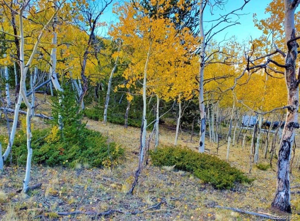 2000 Hard Hickory Trail