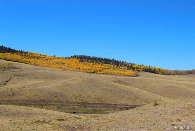 Open rural land with rolling dry grass and a distant ridge of autumn-colored trees.
