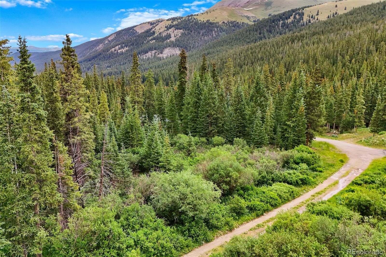 Mountain land with a dirt road winding through dense evergreen forest beneath open peaks.