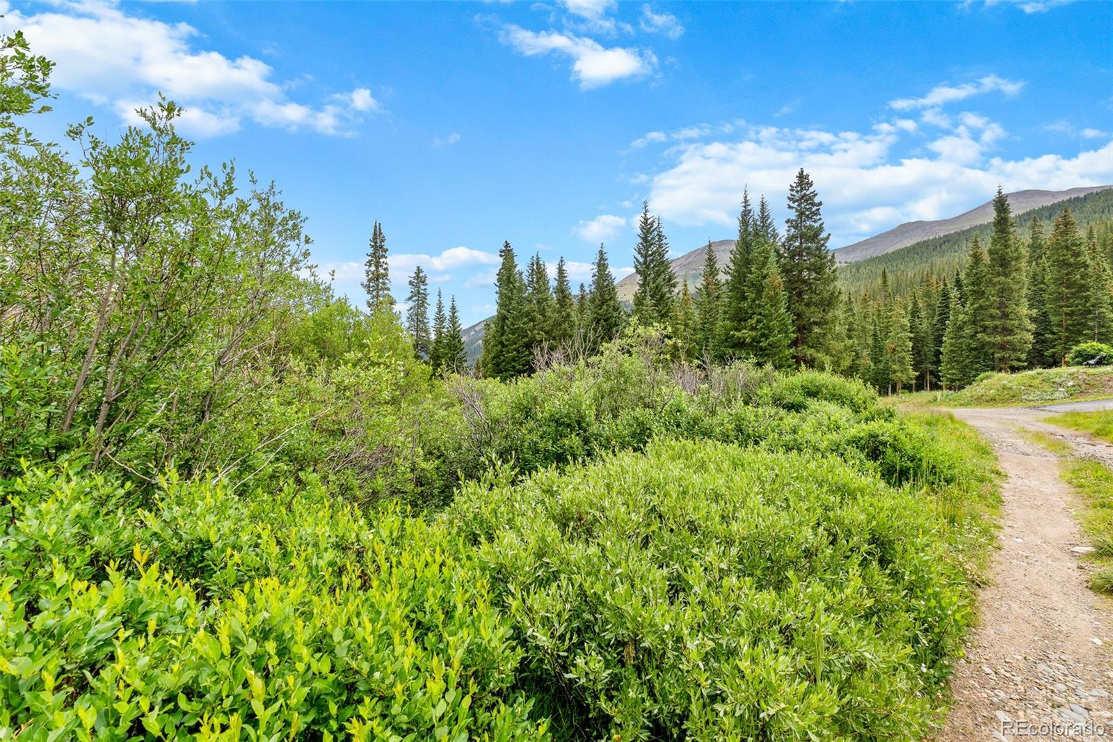 Mountain land with dense greenery, evergreen forest, and a gravel road beneath a blue sky.