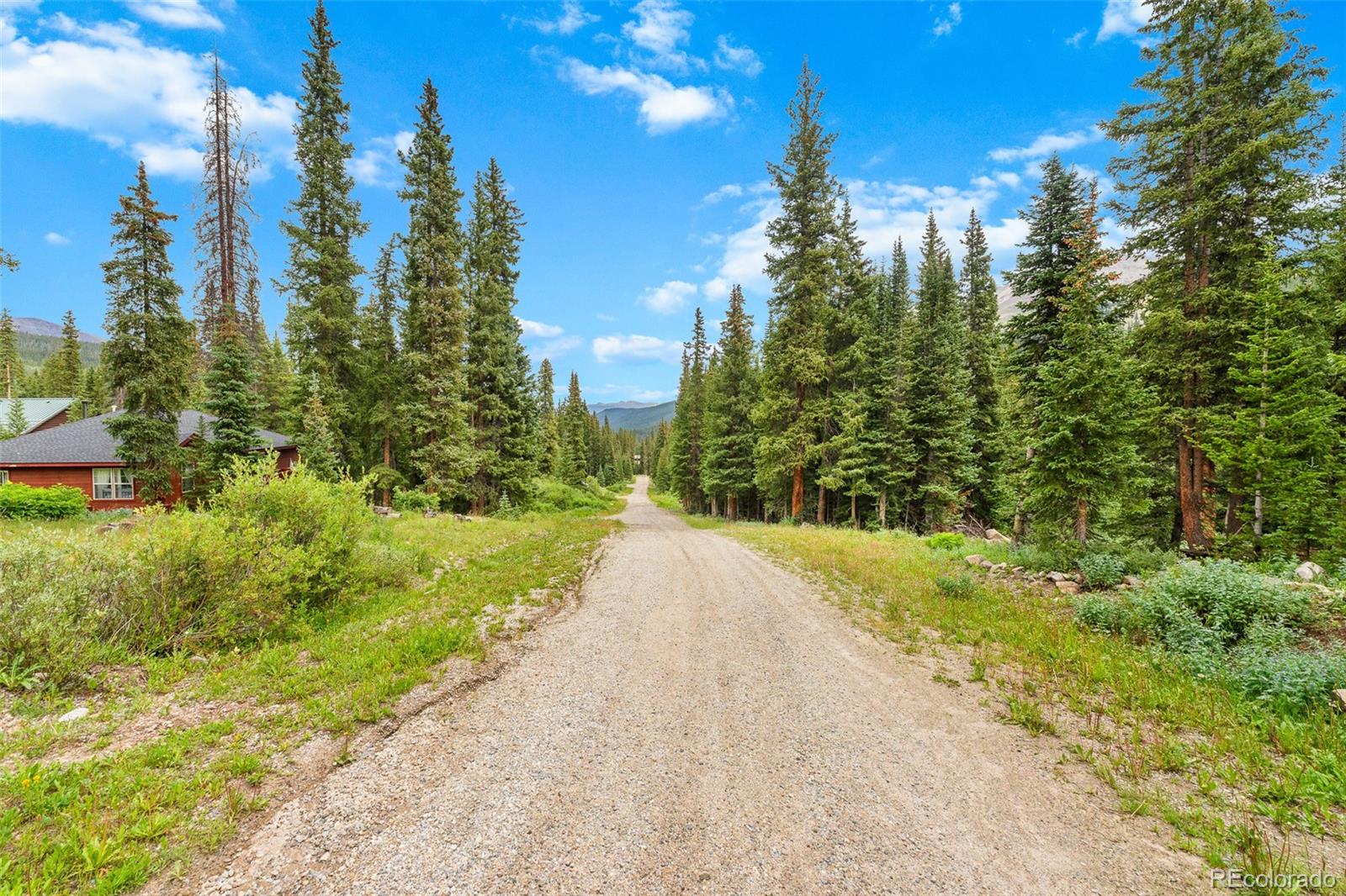 Gravel road through evergreen forest toward distant mountains, with part of a red house at left.