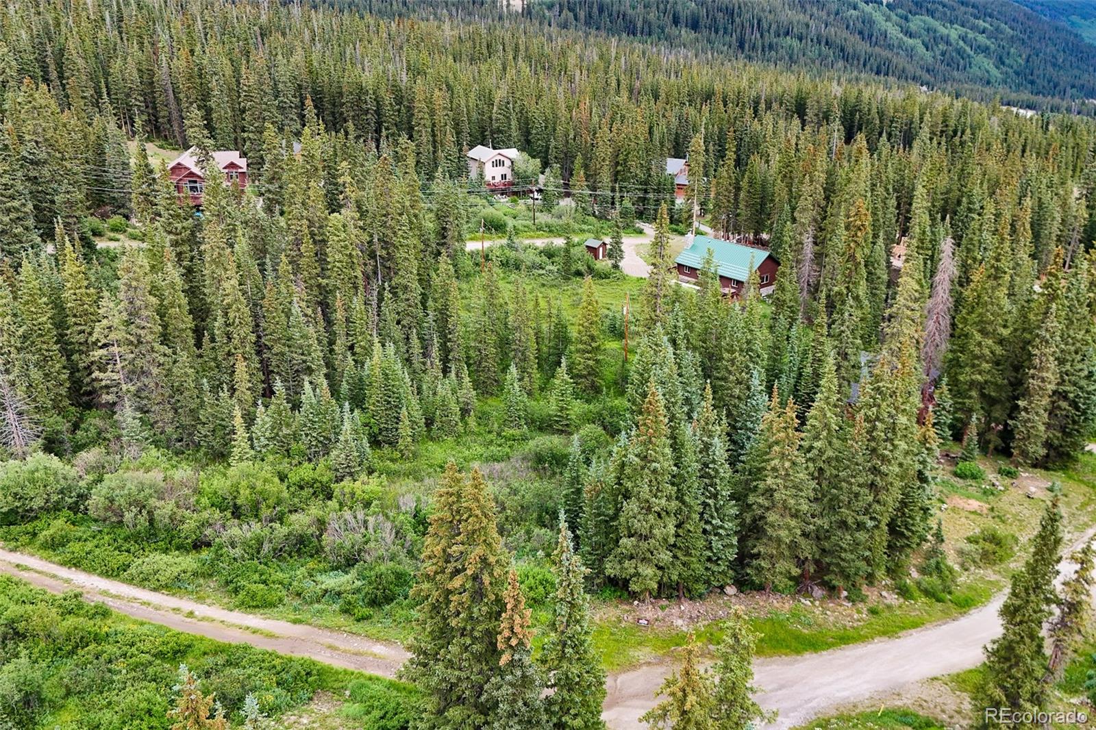 Aerial view of a forested property bordered by dirt roads, with neighboring homes and mountain forest beyond.
