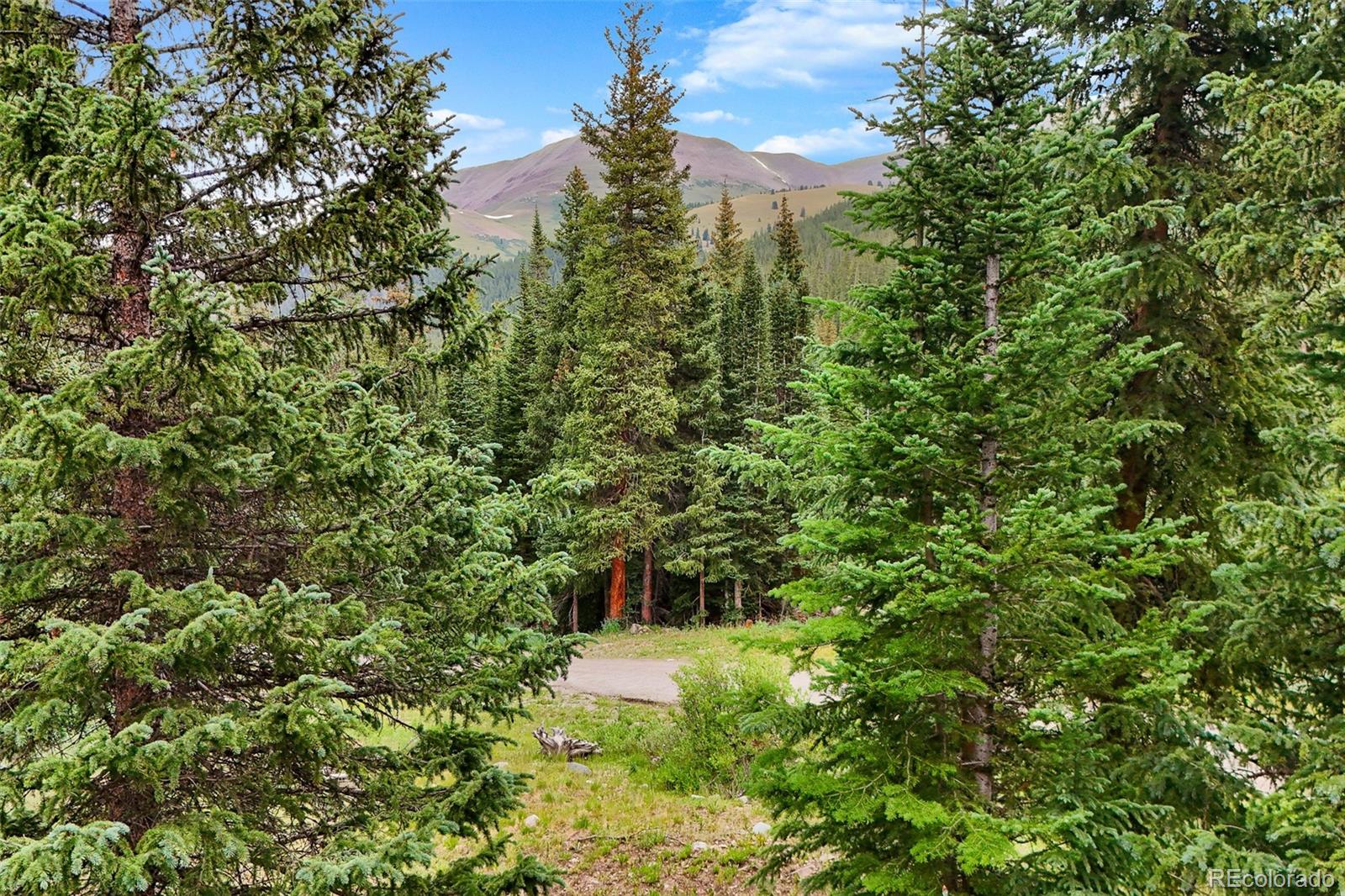 Evergreen-covered property with a dirt road and mountain views.