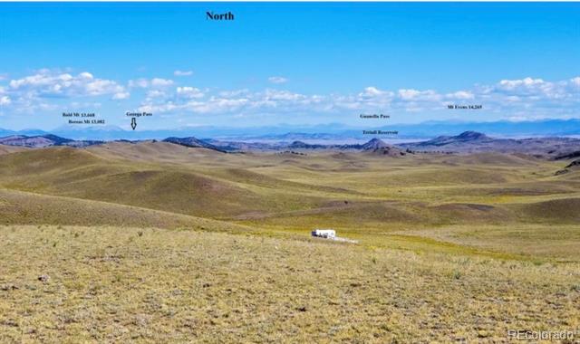 Open acreage with rolling grassland and distant mountain ranges beneath a clear blue sky.
