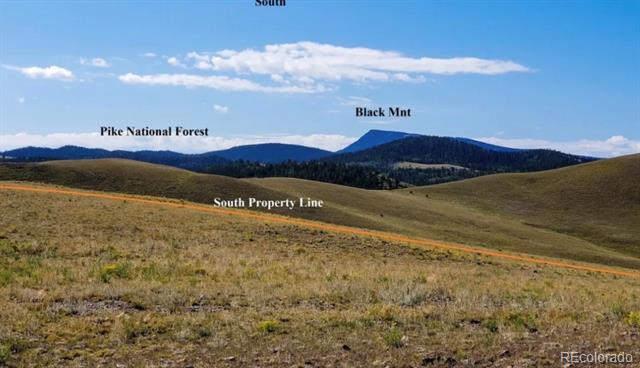 Open hillside property with a dirt track and labeled southern boundary, backed by forested mountains.