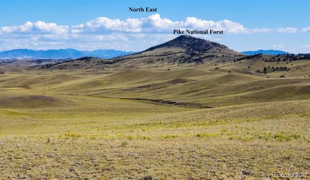 Rolling grassland with a tree-dotted ridge and distant mountains to the northeast.