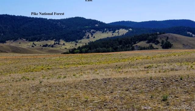 Open grassland stretches toward forested mountains labeled Pike National Forest.