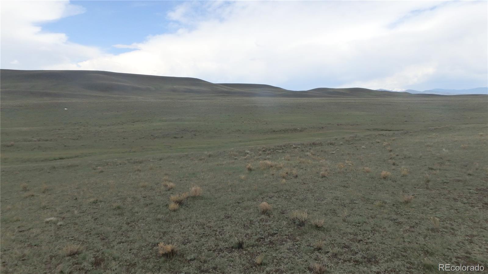 Open grassland with sparse shrubs, rolling hills, and distant mountains.