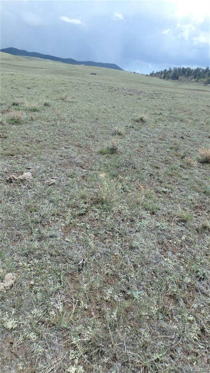 Vacant grassy hillside with a distant mountain ridge and trees.