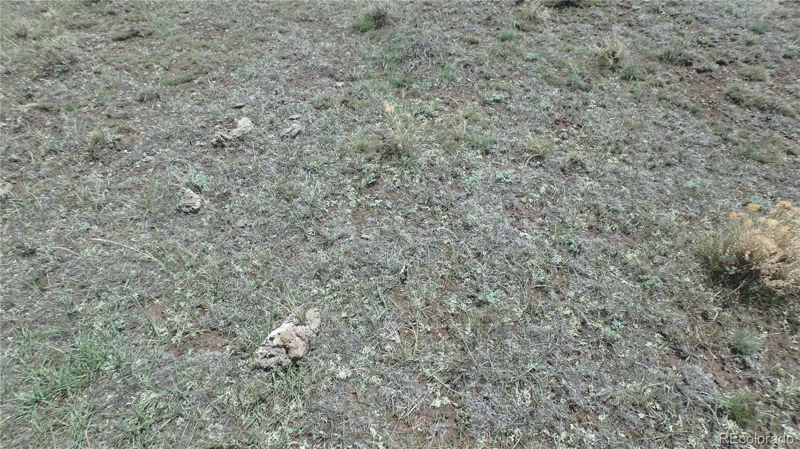 Rocky vacant land with sparse grass and low scrub.