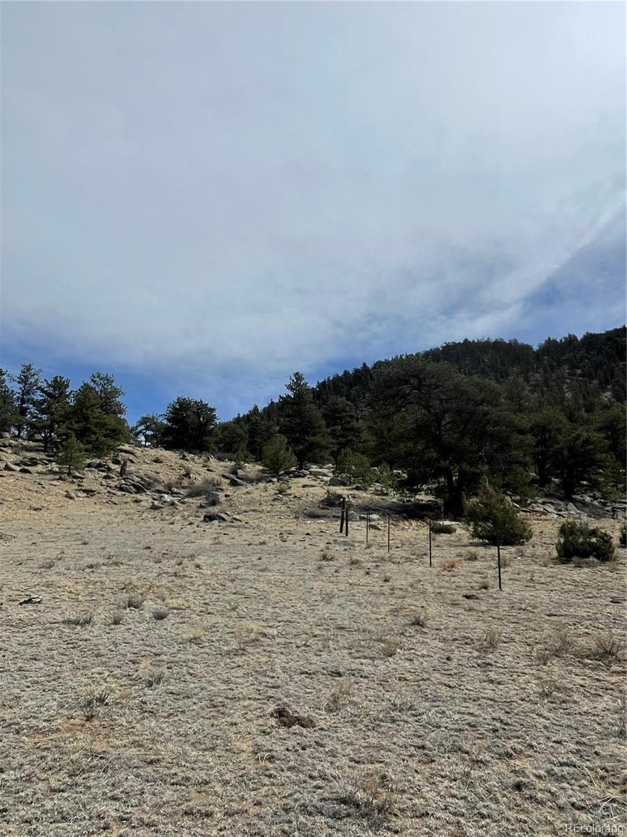 2030 Puma Hills Road
