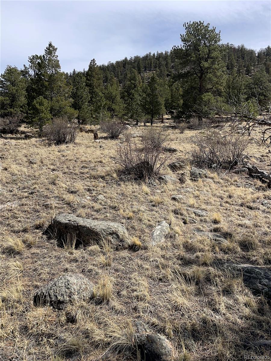 2030 Puma Hills Road