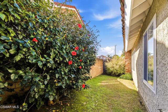 2058 Coleman CT
