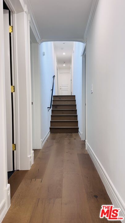 342 N PALM DR Unit: 301
