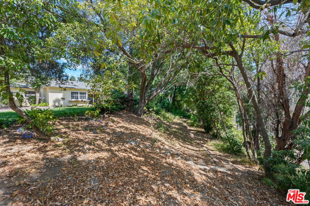 1101 Casiano Rd