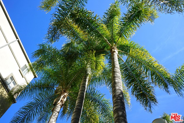 151 E HOLLY Street 2-103