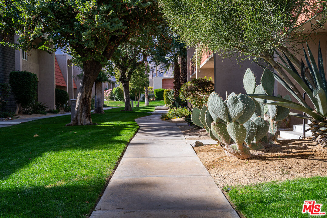 2246 N Indian Canyon Dr Unit: D